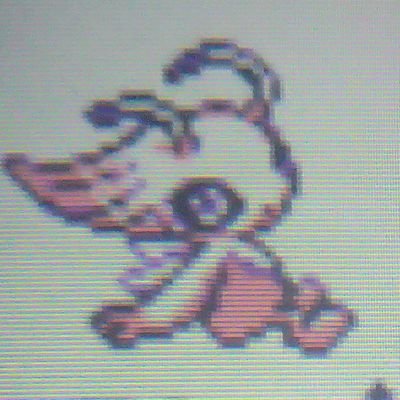 主に色違いポケモンやポケポケ呟く垢
初めて遊んだポケモンシリーズは
クリスタルバージョン。推しポケモン
スイクン、ルギア、ヤンチャムなど
たまに絵描きます!宜しくお願いします!
にじさんじや色んなVも好きな人