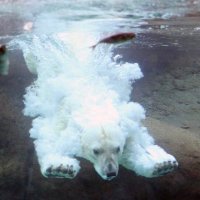 PolarForge88 (@polarpil) Twitter profile photo