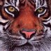 Eric (@lorderik1776) Twitter profile photo Eric (@lorderik1776) Twitter profile photo