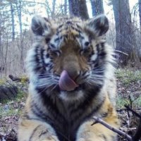 graveyard fresh jelly🧛🏾🪼 (@skeletonk3y) 's Twitter Profile Photo