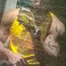 Vanilladude22 (@vanilladude22) Twitter profile photo Vanilladude22 (@vanilladude22) Twitter profile photo