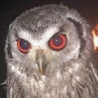 Ni Nja (@ninjjja__) 's Twitter Profile Photo Ni Nja (@ninjjja__) 's Twitter Profile Photo