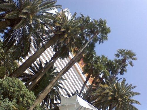 crunkvegastechs's profile picture. Science girls... having fun!