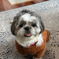 Ty (@wiseklugbrooke) 's Twitter Profile