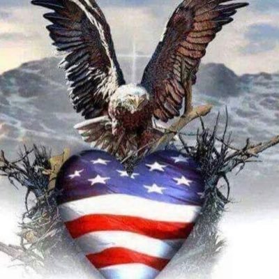 SabrinaG433's profile picture. NOT interested in your selfies