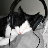 Vitor Gabriel (@gabriel08928) 's Twitter Profile