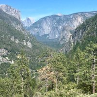 white lotus (@devikaparikh) 's Twitter Profile