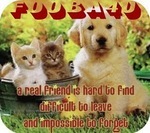 http://t.co/QOsQEuO85o - lost/found pets site on FaceBook . active on FooPets, Aywas, PetAdoptables, FelisFire, VerPets.