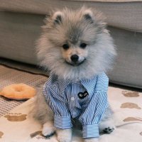 X_gnoi (@x_gnoiurauh) 's Twitter Profile
