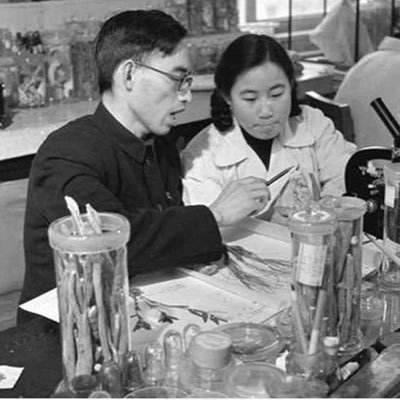 RakouskxFlorian's profile picture. Brainrot a hodně biologie 🪲💚 @naivniO