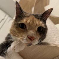 kiki (@kikioffduty) 's Twitter Profile