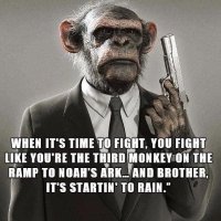 WTP1776 (@wtp__1776) 's Twitter Profile