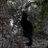 Mon_4_'s profile image