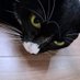 kind_killerwhale (@kind_k11rwhale) Twitter profile photo kind_killerwhale (@kind_k11rwhale) Twitter profile photo
