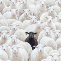 Nicolas Ramos โ (@nicolasramos_05) 's Twitter Profile Photo Nicolas Ramos โ (@nicolasramos_05) 's Twitter Profile Photo