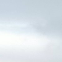 and (@npa_sand) 's Twitter Profile Photo