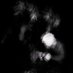 the Moratorium Atomic Nucleus (@themaaaaan_) Twitter profile photo the Moratorium Atomic Nucleus (@themaaaaan_) Twitter profile photo