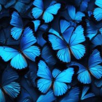 BecBLee (@bbleeflow) 's Twitter Profile