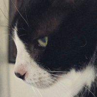 JennyFromHR (@jojofromhr) 's Twitter Profile