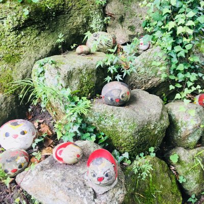 muuuuura23's profile picture. 見る専