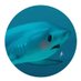 Sharkies (@sharkiesotd) Twitter profile photo Sharkies (@sharkiesotd) Twitter profile photo