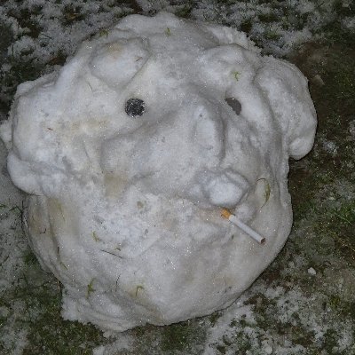 okanbilici21's profile picture. человек, faşist, laudator temporis acti