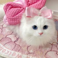 ミシェル (@analais75) 's Twitter Profile