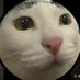 Figaro (@figaro_bakery) Twitter profile photo Figaro (@figaro_bakery) Twitter profile photo