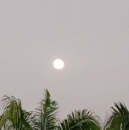 malumedicen's profile picture. Mi fe de que Dios, en su infinita misericordia, va a proteger a Venezuela y a los venezolanos de bien. Jesús, en ti confío 🙏🙏🙏