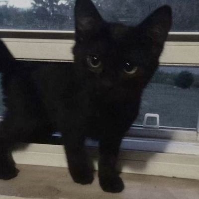 SkiesKEKW's profile picture. We chilling