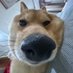 sansi 34 (@3an3i) Twitter profile photo sansi 34 (@3an3i) Twitter profile photo