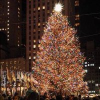 ❤️Naina❤️ (@naina2024me) 's Twitter Profile Photo ❤️Naina❤️ (@naina2024me) 's Twitter Profile Photo
