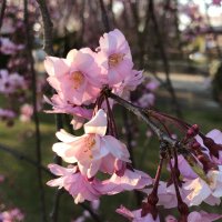 佐々木小次郎 (@roguna210) 's Twitter Profile Photo