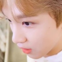 치 (@chanstxr) 's Twitter Profile