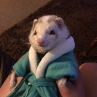 bye! (@omnipod) 's Twitter Profile