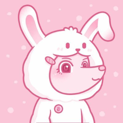 2018 年入场的小韭菜一枚|宏观·币圈·美股|中华田园半吊子买菜经济学🐰|ETH holder|纳斯达贷还款者 | @theNextDAO 🦊|大厂后端研发工程师|跆拳道黑带 & 古典舞十级选手 ❀
