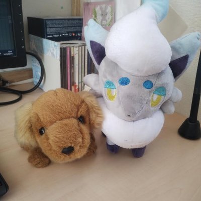kayuさんのプロフィール画像