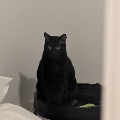 thecodekage's profile picture. 