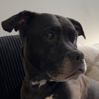 brastasauce's profile picture. 