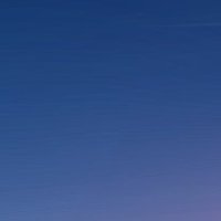 Asani (@agolaris) 's Twitter Profile