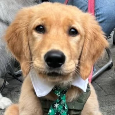 šŗš²š¤šØš³, Food ē¾é£, History åå² Politics ęæę²», Pets å® ē©. China Truther. Second Mover Advantagist å·čµ·ę„
10+ years in China