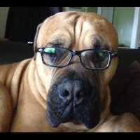 SHUT.UP.ROMO (@bystander1980) 's Twitter Profile Photo SHUT.UP.ROMO (@bystander1980) 's Twitter Profile Photo