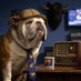 Buffalo Media WatchDawg (@716watchdawg) Twitter profile photo Buffalo Media WatchDawg (@716watchdawg) Twitter profile photo