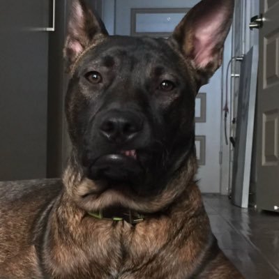 PhilBolton58991's profile picture. 