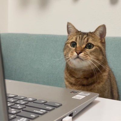 u_rufu_woof's profile picture. 22さい