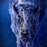 Gregor McDonnell (@greglucker) 's Twitter Profile