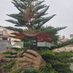 دژهود (@dejhhood) Twitter profile photo دژهود (@dejhhood) Twitter profile photo