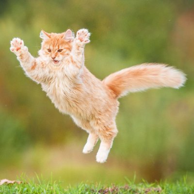 zippy49's profile picture. I like complex characters and complex carbs.