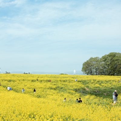 ひさんのプロフィール画像