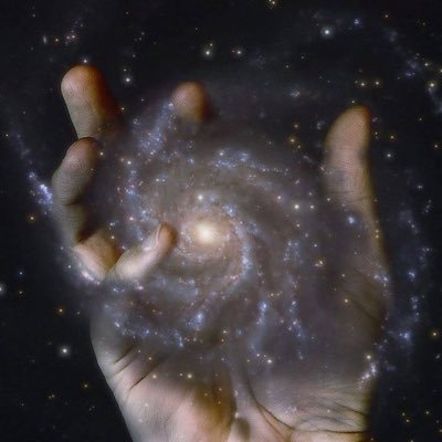 seitionn's profile picture. 